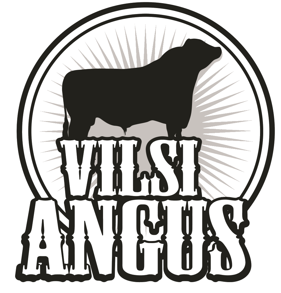 Vilsi Angus Facebookis   Vilsi Angus on pereettevõte, kus kasvatatakse mahedaid ja stressivabalt peetavaid Aberdiin Anguse tõugu veiseid otse Lõuna-Eesti puhtas