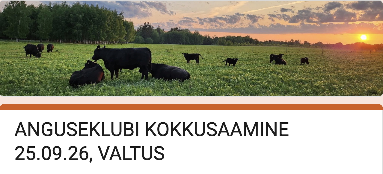 Anguseklubi-kokkusaamine